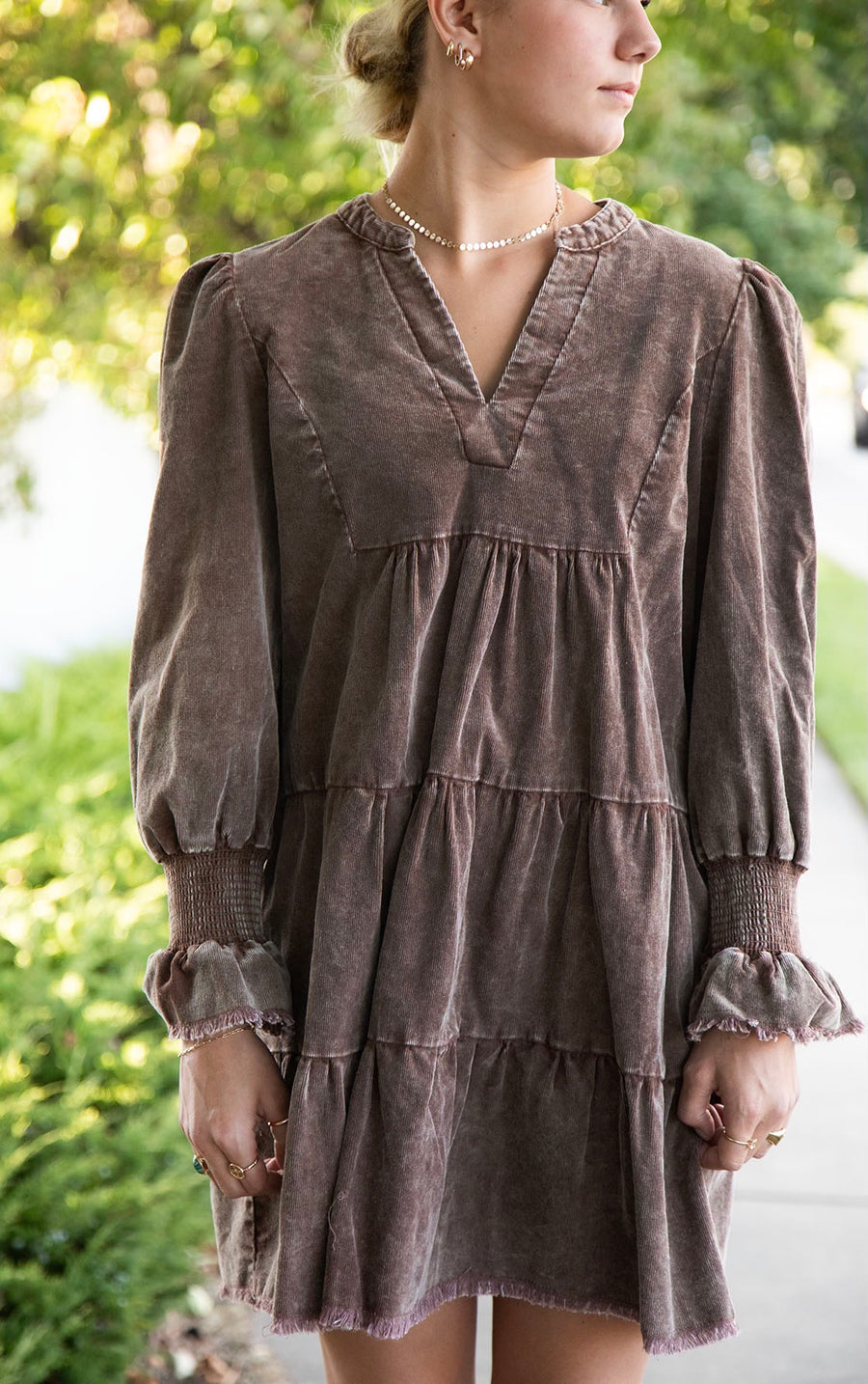 Willow V-Neck Dress in Brown