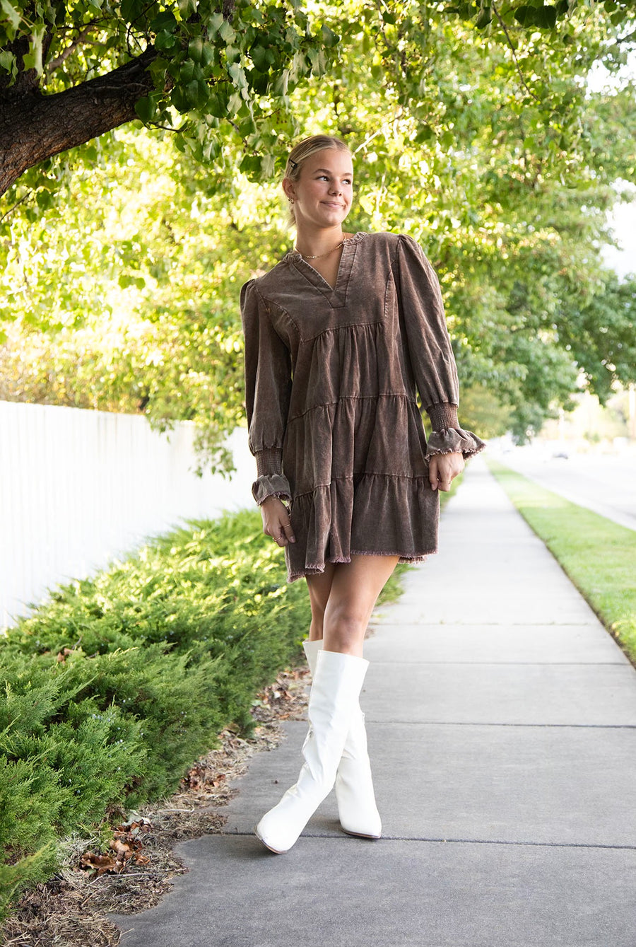 Willow V-Neck Dress in Brown